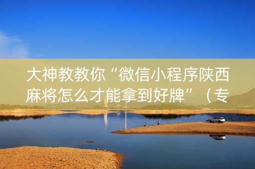 大神教教你“微信小程序陕西麻将怎么才能拿到好牌”（专用神器下载)