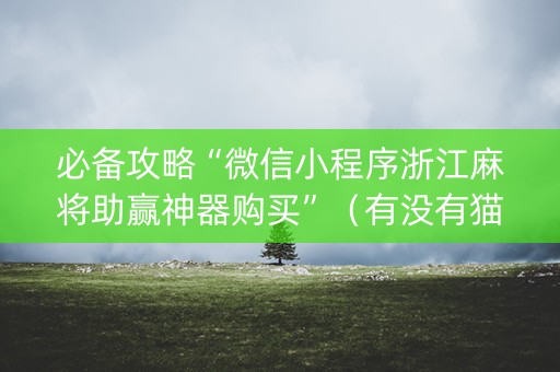 必备攻略“微信小程序浙江麻将助赢神器购买”（有没有猫腻)