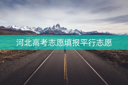 河北高考志愿填报平行志愿 河北高考志愿填报平行志愿