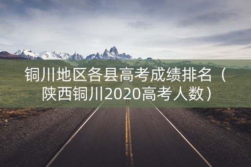 铜川地区各县高考成绩排名（陕西铜川2020高考人数）