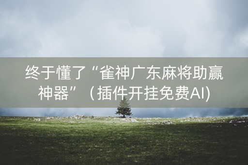 终于懂了“雀神广东麻将助赢神器”（插件开挂免费AI)