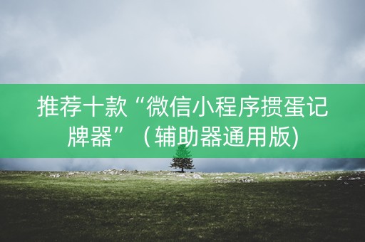 推荐十款“微信小程序掼蛋记牌器”（辅助器通用版)