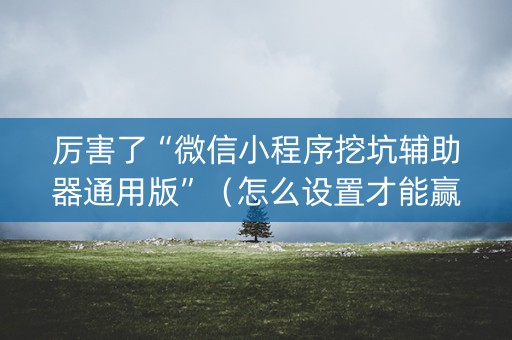 厉害了“微信小程序挖坑辅助器通用版”（怎么设置才能赢)