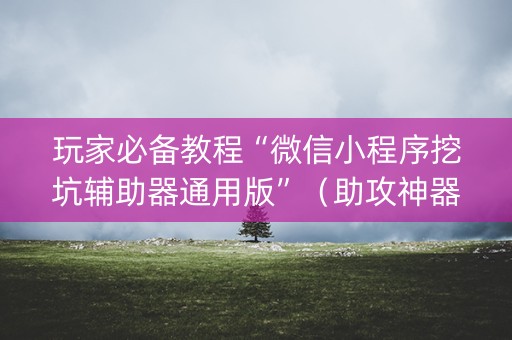 玩家必备教程“微信小程序挖坑辅助器通用版”（助攻神器)