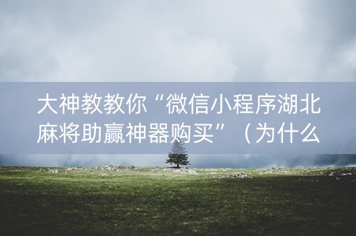 大神教教你“微信小程序湖北麻将助赢神器购买”（为什么有人一直赢)
