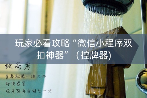玩家必看攻略“微信小程序双扣神器”（控牌器)