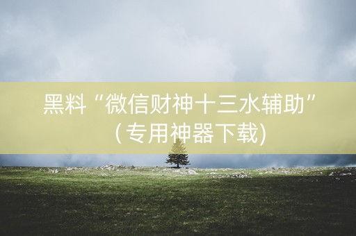 黑料“微信财神十三水辅助”（专用神器下载)
