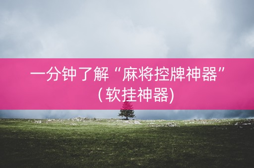 一分钟了解“麻将控牌神器”（软挂神器)