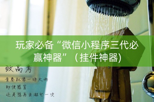 玩家必备“微信小程序三代必赢神器”（挂件神器)