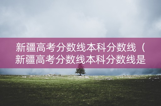 新疆高考分数线本科分数线（新疆高考分数线本科分数线是多少）