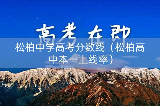 松柏中学高考分数线（松柏高中本一上线率）