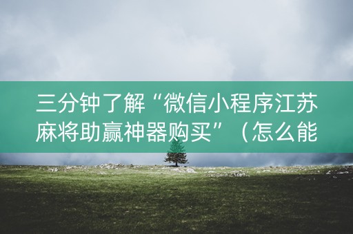三分钟了解“微信小程序江苏麻将助赢神器购买”（怎么能调好牌)