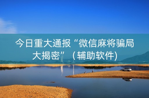 今日重大通报“微信麻将骗局大揭密”（辅助软件)
