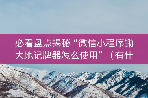必看盘点揭秘“微信小程序锄大地记牌器怎么使用”（有什么规律)