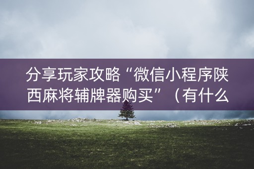 分享玩家攻略“微信小程序陕西麻将辅牌器购买”（有什么规律)