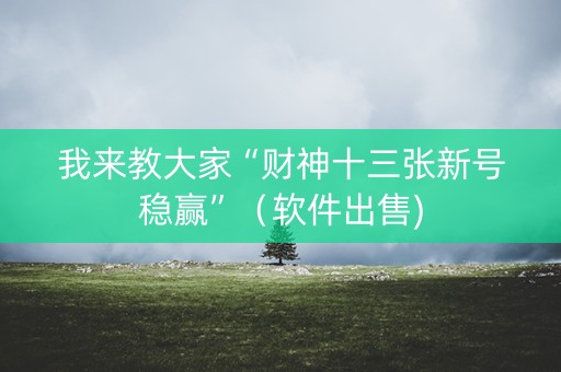 我来教大家“财神十三张新号稳赢”（软件出售)