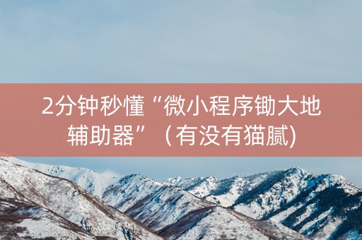 2分钟秒懂“微小程序锄大地辅助器”（有没有猫腻)