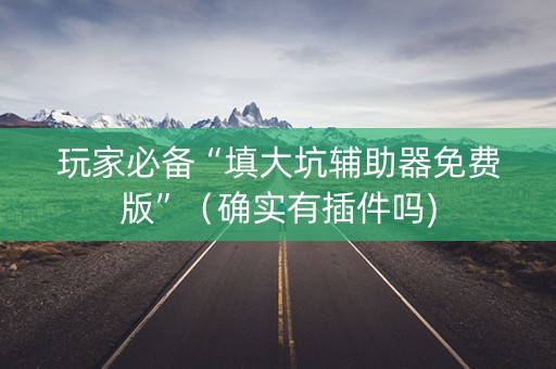 玩家必备“填大坑辅助器免费版”（确实有插件吗)