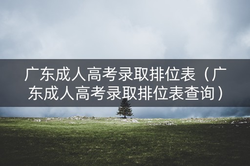 广东成人高考录取排位表（广东成人高考录取排位表查询）