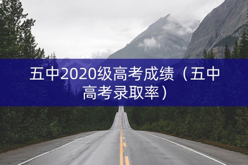 五中2020级高考成绩（五中高考录取率）