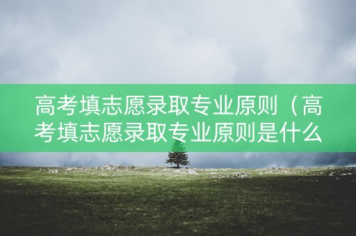 高考填志愿录取专业原则（高考填志愿录取专业原则是什么）