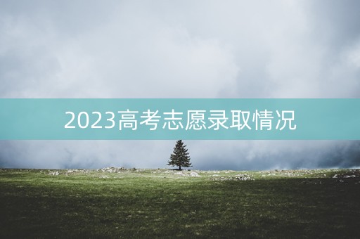 2023高考志愿录取情况 2023高考志愿录取情况