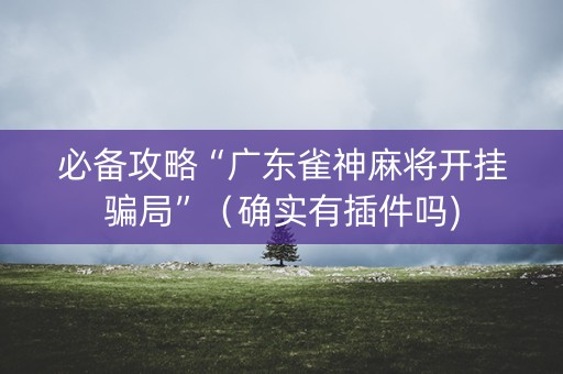 必备攻略“广东雀神麻将开挂骗局”（确实有插件吗)