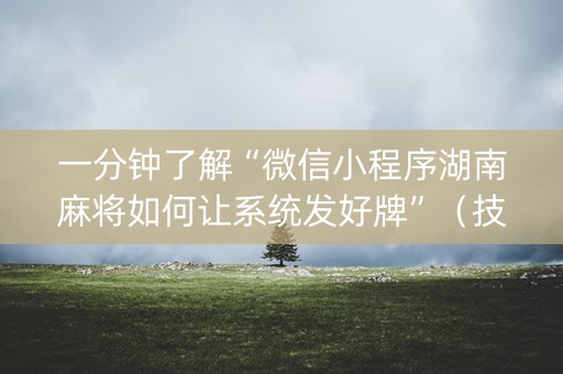 一分钟了解“微信小程序湖南麻将如何让系统发好牌”（技巧和打好牌方法)
