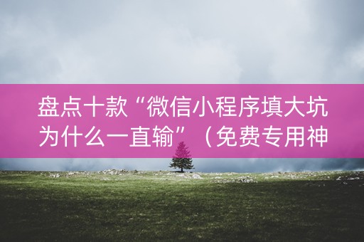 盘点十款“微信小程序填大坑为什么一直输”（免费专用神器)