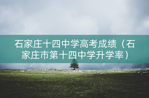 石家庄十四中学高考成绩（石家庄市第十四中学升学率）