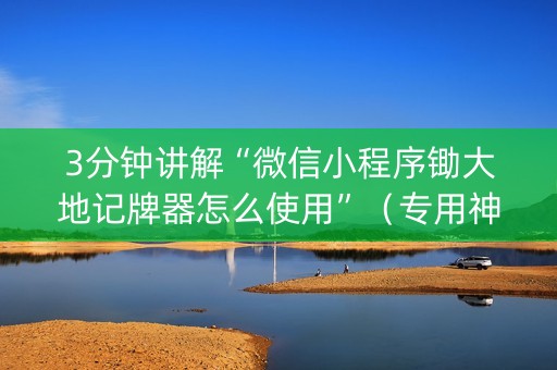3分钟讲解“微信小程序锄大地记牌器怎么使用”（专用神器)
