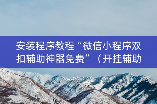 安装程序教程“微信小程序双扣辅助神器免费”（开挂辅助器插件)