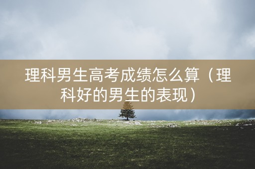 理科男生高考成绩怎么算（理科好的男生的表现）