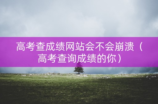 高考查成绩网站会不会崩溃（高考查询成绩的你）