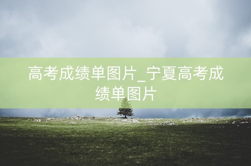 高考成绩单图片_宁夏高考成绩单图片