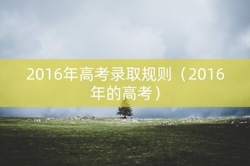2016年高考录取规则（2016年的高考）