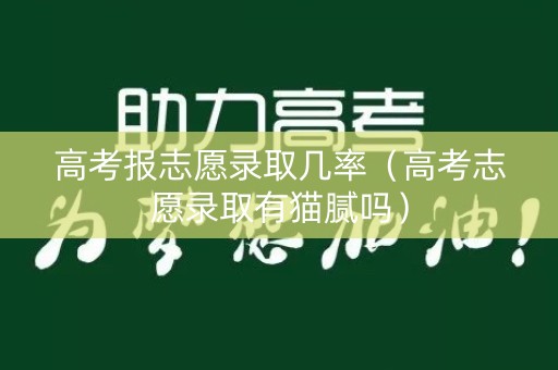 高考报志愿录取几率（高考志愿录取有猫腻吗）