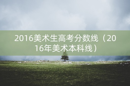 2016美术生高考分数线（2016年美术本科线）