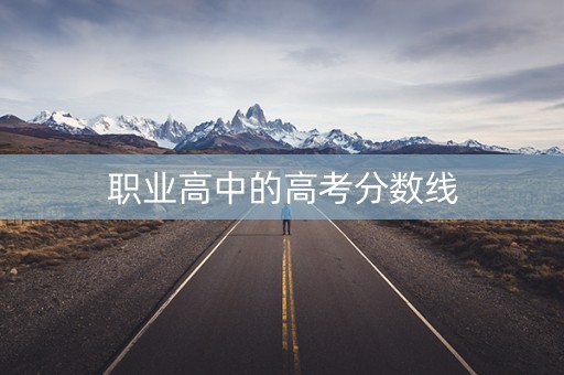职业高中的高考分数线