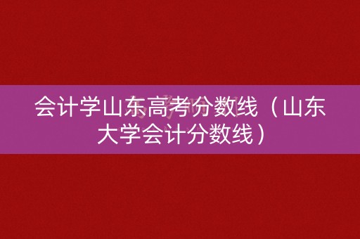 会计学山东高考分数线（山东大学会计分数线）