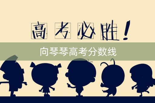 向琴琴高考分数线