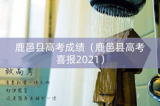 鹿邑县高考成绩（鹿邑县高考喜报2021）