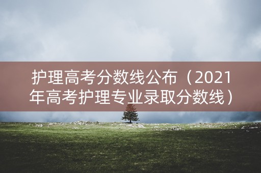 护理高考分数线公布（2021年高考护理专业录取分数线）