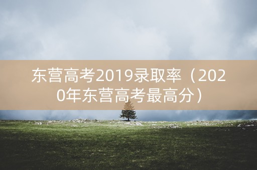 东营高考2019录取率（2020年东营高考最高分）