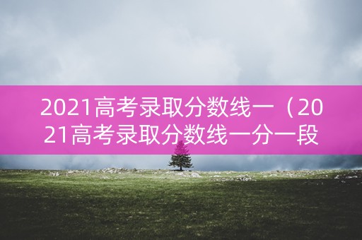 2021高考录取分数线一（2021高考录取分数线一分一段）