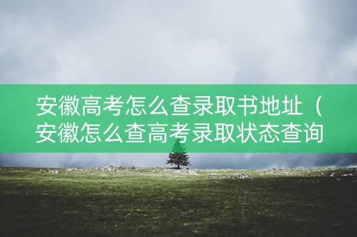 安徽高考怎么查录取书地址（安徽怎么查高考录取状态查询）