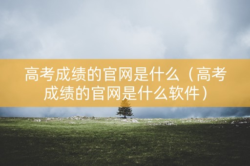 高考成绩的官网是什么（高考成绩的官网是什么软件）