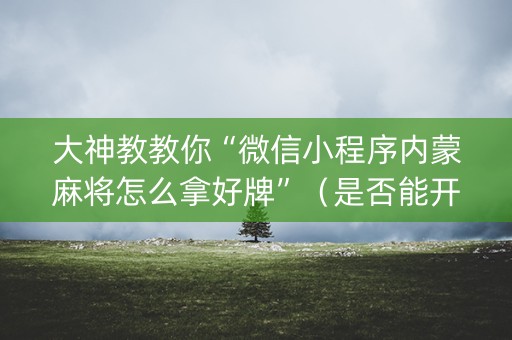 大神教教你“微信小程序内蒙麻将怎么拿好牌”（是否能开挂)