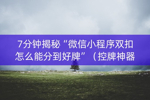 7分钟揭秘“微信小程序双扣怎么能分到好牌”（控牌神器)