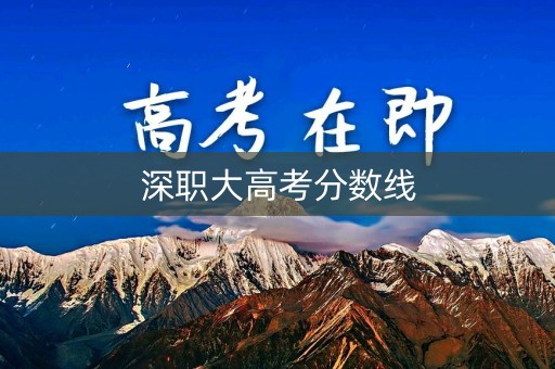 深职大高考分数线